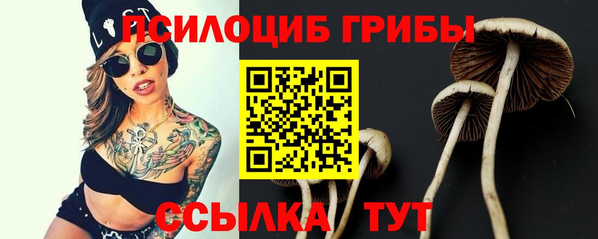 Галлюциногенные грибы GOLDEN TEACHER Кулебаки